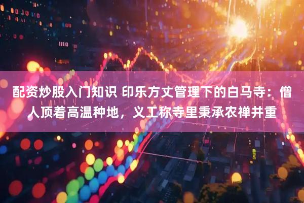 配资炒股入门知识 印乐方丈管理下的白马寺：僧人顶着高温种地，义工称寺里秉承农禅并重
