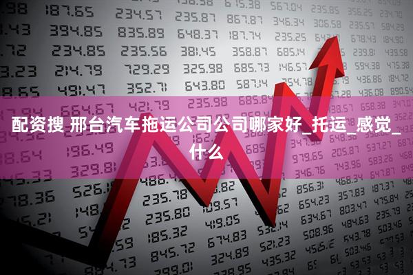 配资搜 邢台汽车拖运公司公司哪家好_托运_感觉_什么